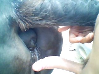 I Fell To My Knees Between The 2 animals My Onerous Nipples Were Ironed Against The Ground