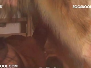 Woman Fucking Animals