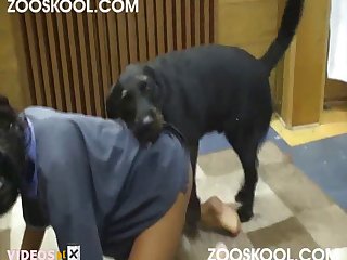 Animal Poop Porn