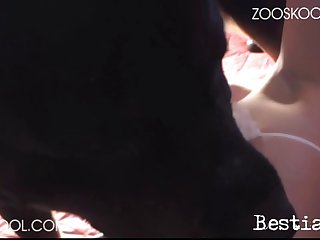 Zoo Sex . Com