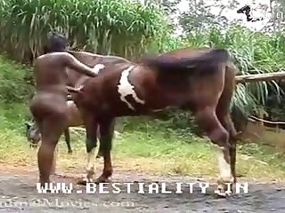 Women Dog Porn
