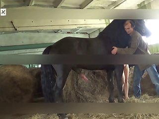 Alone Dog Fuck