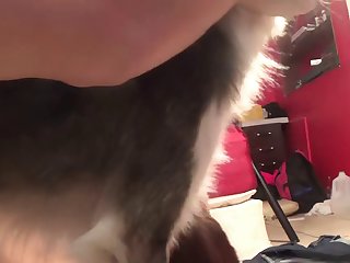 Guy And Dog Fuck Girl At Same Time