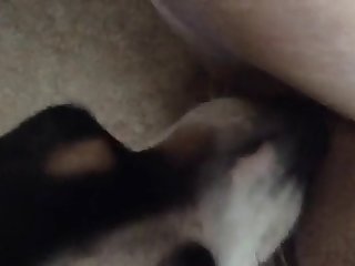 I Wanna Fuck A Dog In The Ass Blink