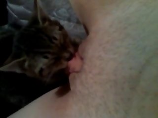 Man Fuck Dog Rough Porn