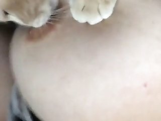 Scottish Fuck Dog