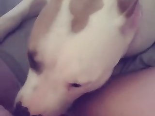 Dog Fuck Hot Women