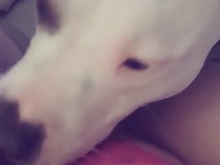 Dog Fuck Hot Women