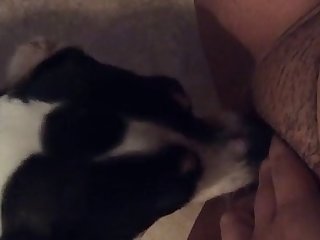 Xxx Girl Fuck Dog
