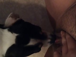 Xxx Girl Fuck Dog