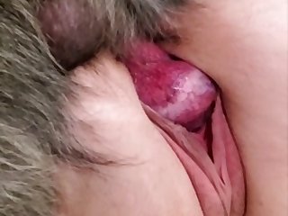 I Fuck My Dog Porn
