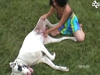 Dog Fuck Girl Cartoon Porn
