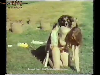 Adult Animal Sex Stories
