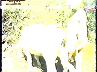Xxx Hot Sex With Animal