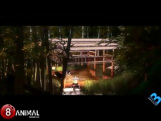 Animal Girl Sex
