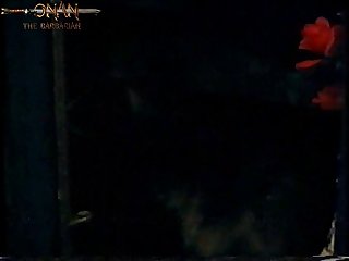 Animal Sex Live Cam