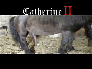 Animal Furry Porn Comic