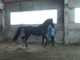 Man Fucking Animal Pussy Porn