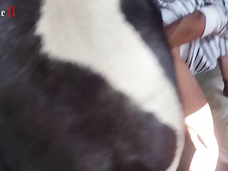 Woman Breastfeed Animal Porn