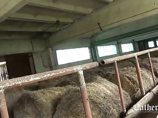 Animal With Porn Sex