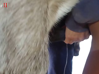 Animal Porn Man Fuck Dog