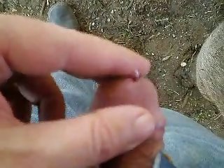 Porno Doidocom Animal