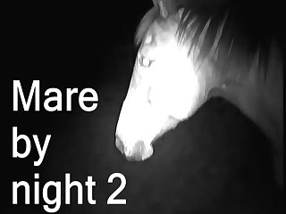 Porno Gratis Mulher Com Animal