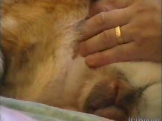 Porno Mulher Tranzando Com Animal