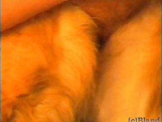 Porno Mulher Tranzando Com Animal