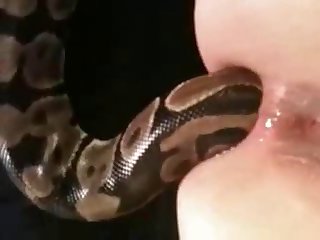 African Porn Tube Xxx