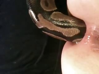 African Porn Tube Xxx