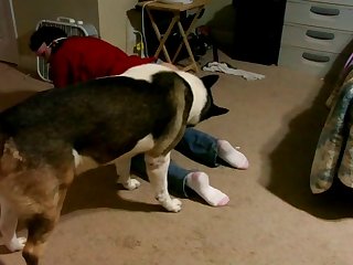 Natalia Brooke Xxx Porn