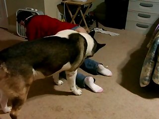 Natalia Brooke Xxx Porn