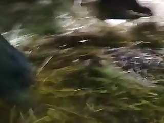 Free Xxx Black Pussy Porn