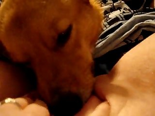 Tied Up Sex Toy Sex Porn Xxx