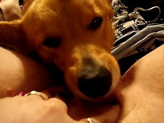 Tied Up Sex Toy Sex Porn Xxx