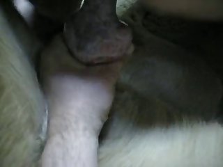 69 Cum In Her Mouth Gif Xxx Porn