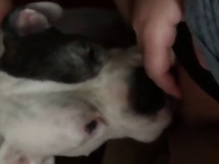 Stepbrother Xxx Porn