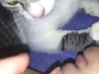 Xxx Hd Cute Porn