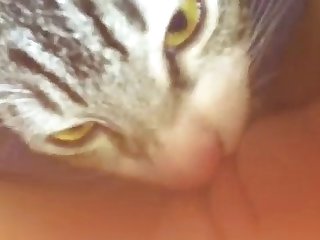 Xxx Hd Cute Porn
