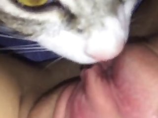 Xxx Hd Cute Porn