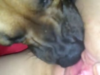 Samiya Hijab Porn Xxx