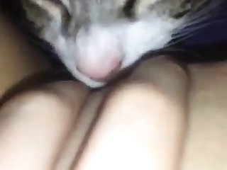 Xxx Hd Cute Porn