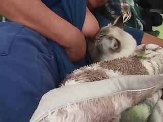 Taylor Swift Ai Nude Xxx Porn