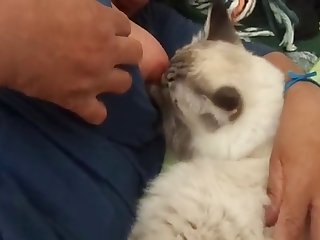 Taylor Swift Ai Nude Xxx Porn