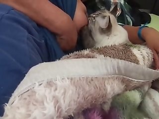 Taylor Swift Ai Nude Xxx Porn