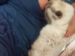 Taylor Swift Ai Nude Xxx Porn