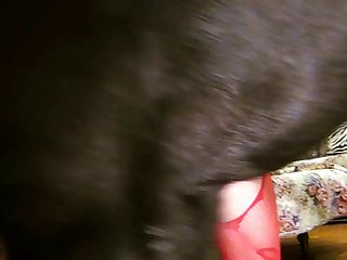 Animal Sex Girl Nude