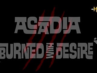 Home Animal Sex Videos