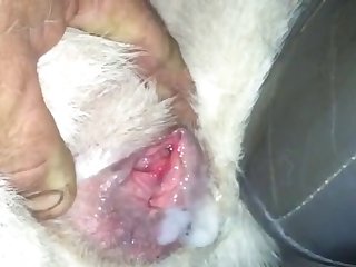 Gril Animal Sex